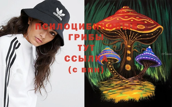 крисы Верхнеуральск