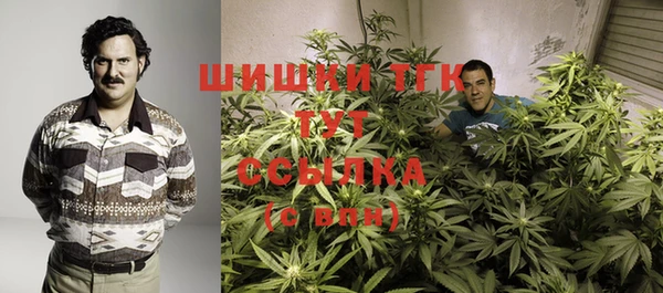 эйфоретик Верея