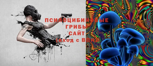 MDMA Верхний Тагил