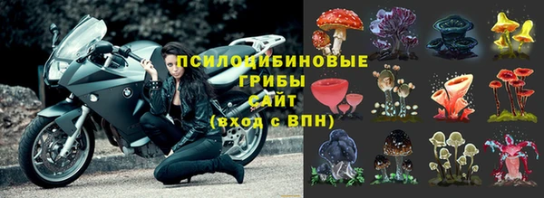 эйфоретик Верея